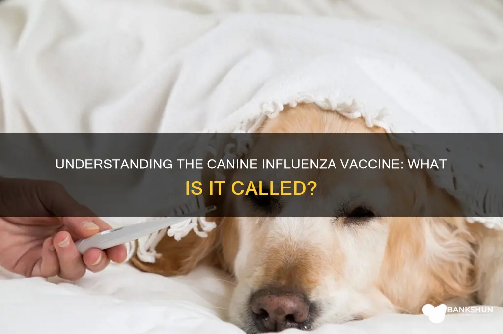 what is the k9 influenza vaccine called