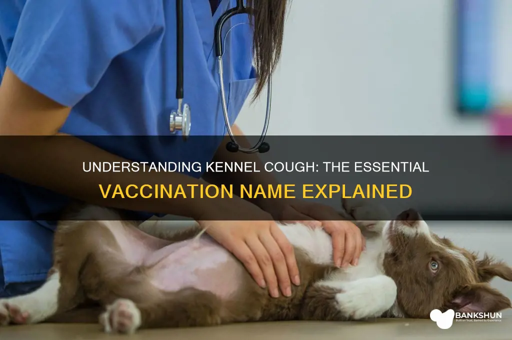 what is the kennel cough vaccination called