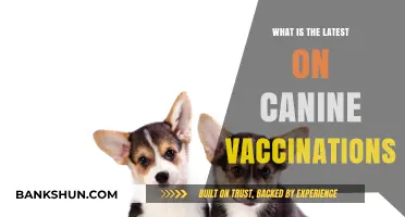 Latest Canine Vaccination Updates: Essential Insights for Dog Owners