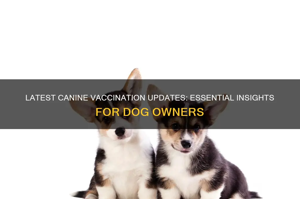 what is the latest on canine vaccinations