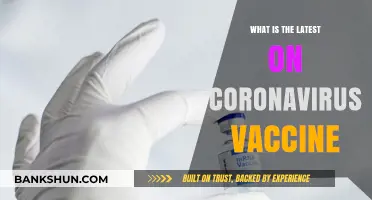 Latest Updates on Coronavirus Vaccines: Progress, Efficacy, and Distribution