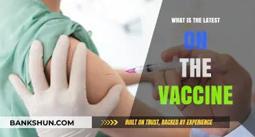Latest Vaccine Updates: Breakthroughs, Rollouts, and Global Impact Explained