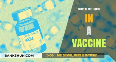 Understanding Vaccine Components: What's in the Liquid Inside?