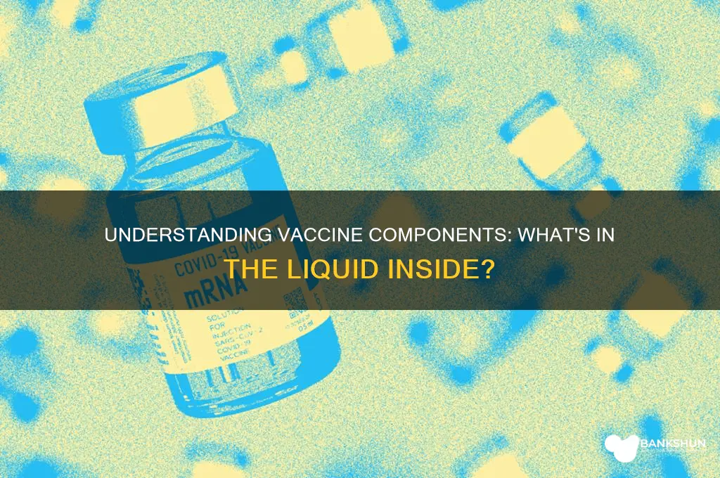 what is the liquid in a vaccine