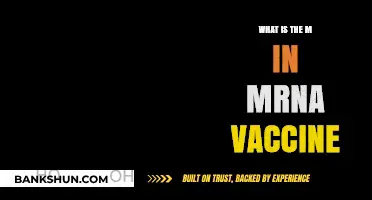 Unveiling the Mystery: Understanding the M in mRNA Vaccines