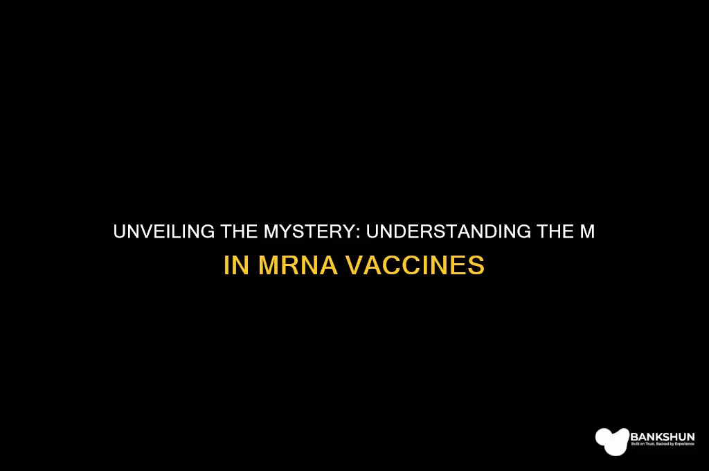 what is the m in mrna vaccine