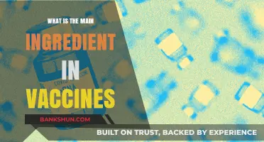 Unveiling the Key Component: Understanding the Main Ingredient in Vaccines
