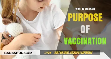 Understanding Vaccination: Protecting Health and Preventing Deadly Diseases Effectively