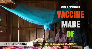 Understanding the Malaria Vaccine: Key Components and Their Role