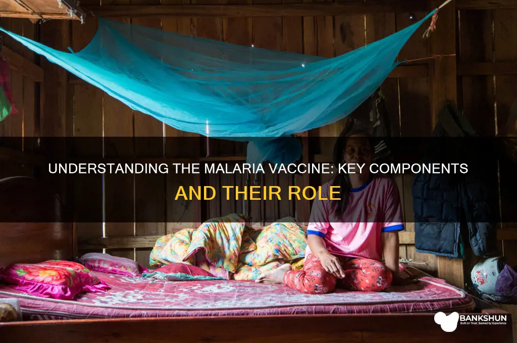 what is the malaria vaccine made of