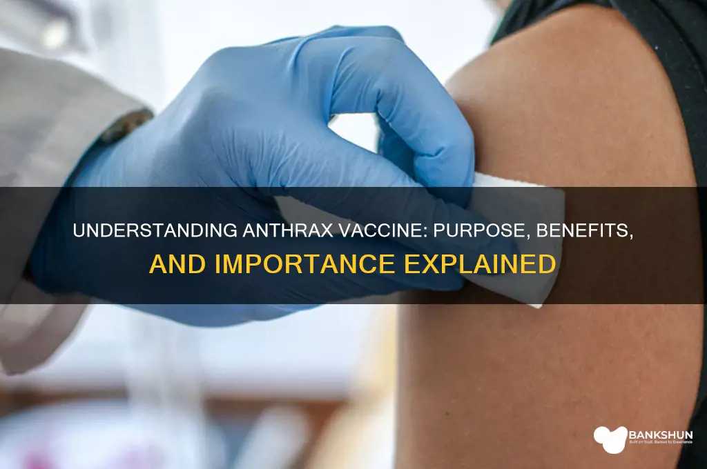 what is the meaning of anthrax vaccine