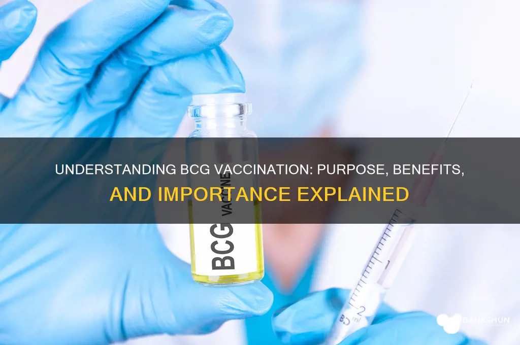 what is the meaning of bcg vaccination