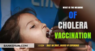 Understanding Cholera Vaccination: Purpose, Benefits, and Importance Explained
