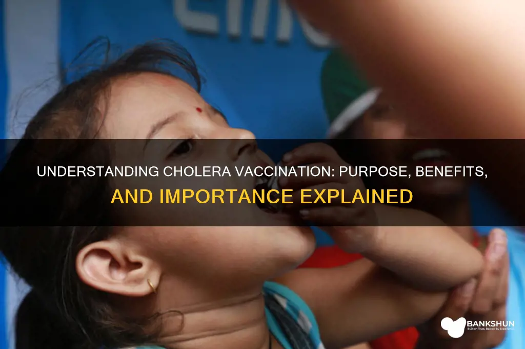what is the meaning of cholera vaccination
