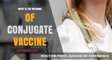 Understanding Conjugate Vaccines: Definition, Mechanism, and Importance Explained