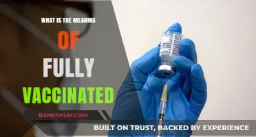 Understanding Fully Vaccinated: Definition, Requirements, and Protection Explained