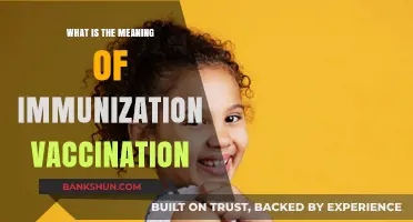 Understanding Immunization Vaccination: Protecting Health Through Essential Inoculations