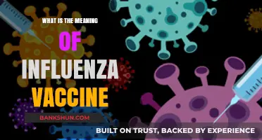 Understanding the Influenza Vaccine: Purpose, Benefits, and Importance Explained