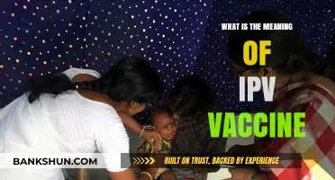 Understanding the IPV Vaccine: Meaning, Benefits, and Importance Explained