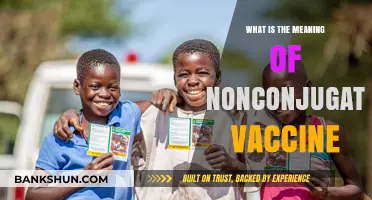 Understanding Nonconjugate Vaccines: Definition, Function, and Importance Explained