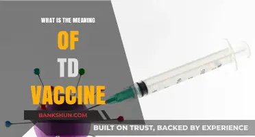 Understanding the TD Vaccine: Purpose, Benefits, and Importance Explained