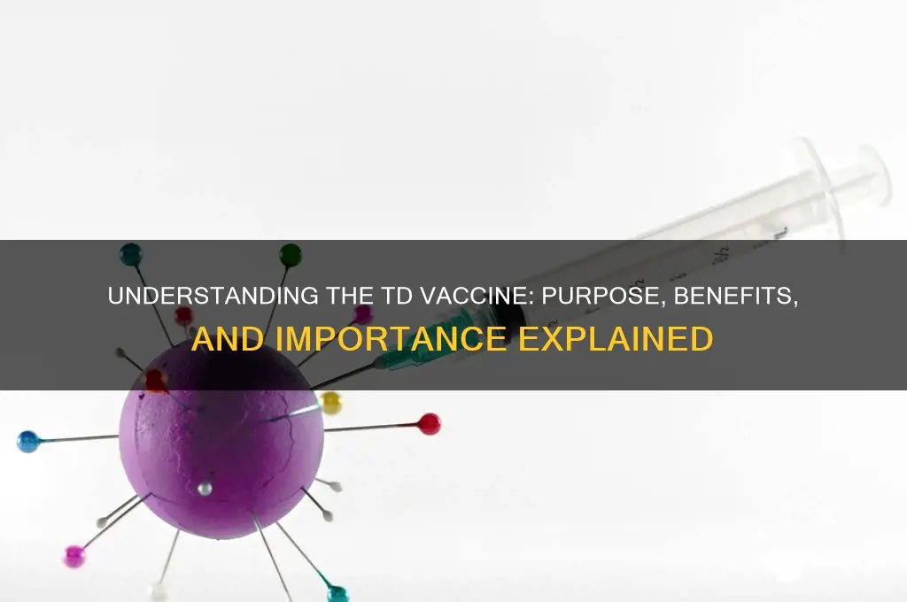 what is the meaning of td vaccine