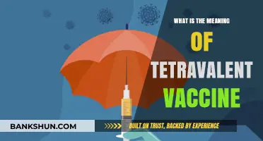 Understanding Tetravalent Vaccines: Comprehensive Protection in a Single Dose