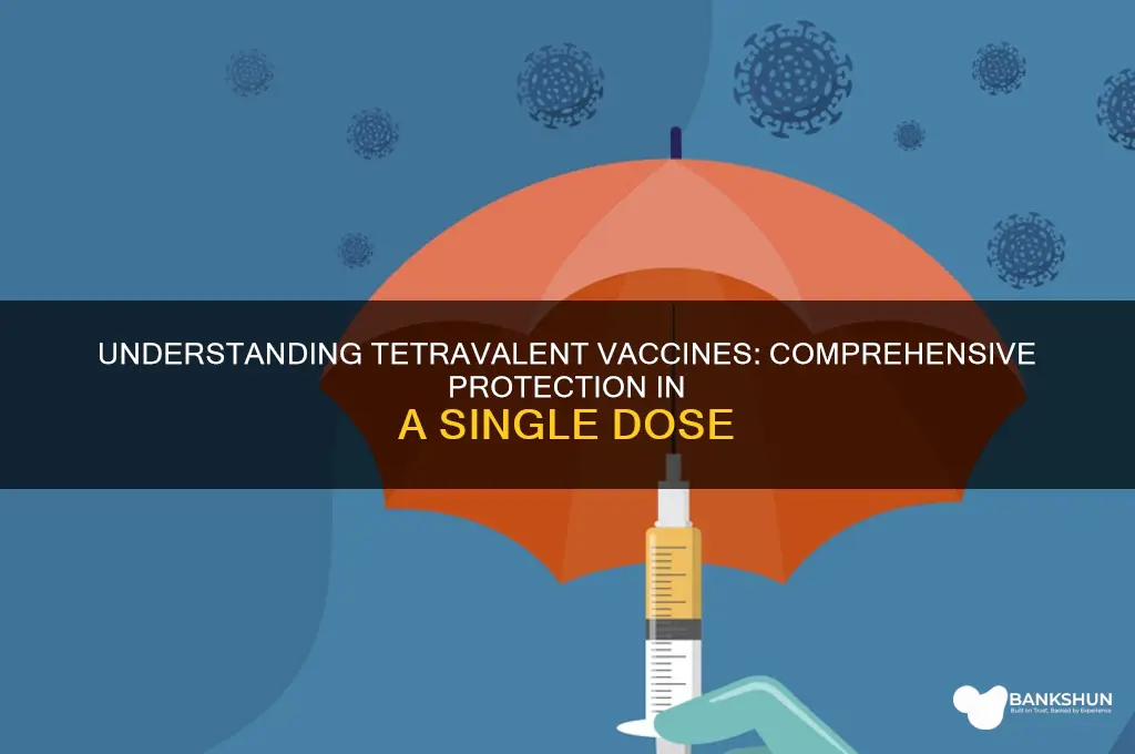 what is the meaning of tetravalent vaccine