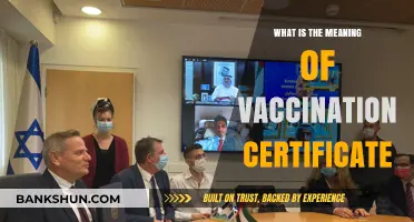 Understanding Vaccination Certificates: Purpose, Importance, and Global Recognition