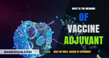 Understanding Vaccine Adjuvants: Enhancing Immunity and Vaccine Effectiveness
