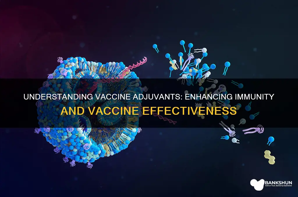 what is the meaning of vaccine adjuvant