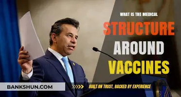 Understanding the Medical Framework Behind Vaccines: Development, Distribution, and Safety