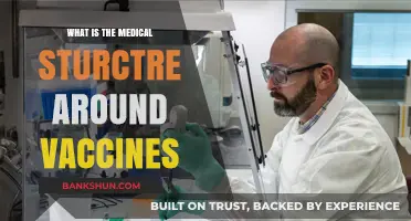 Understanding the Medical Framework Behind Vaccine Development and Distribution