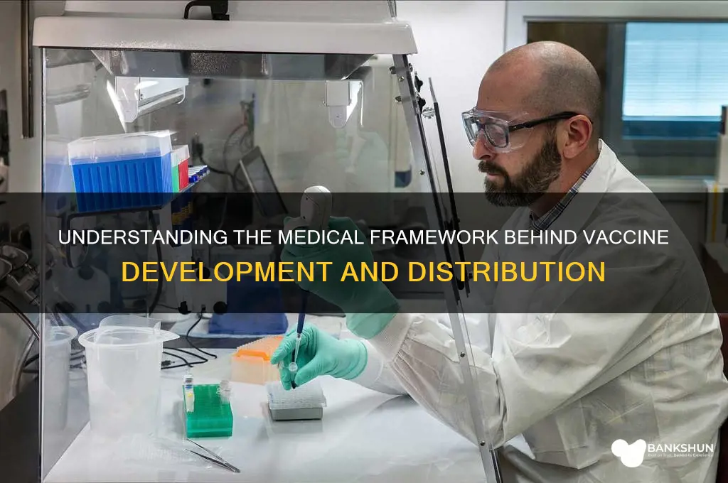 what is the medical sturctre around vaccines