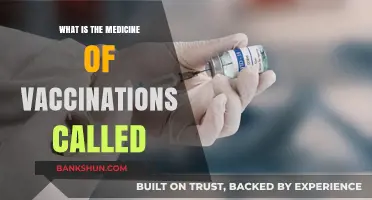 Understanding Vaccination Medicine: The Science Behind Immunization Treatments