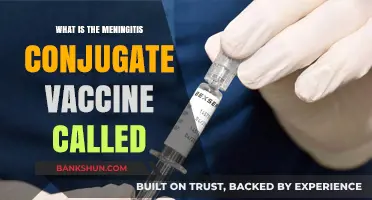 Understanding the Meningitis Conjugate Vaccine: Its Name and Importance