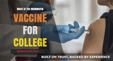 Meningitis Vaccine for College: Protecting Students from Bacterial Infections