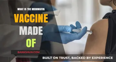Understanding Meningitis Vaccine Composition: Key Ingredients and Their Role
