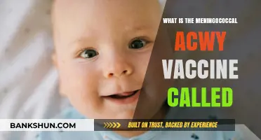 Understanding the Meningococcal ACWY Vaccine: Its Official Name Explained
