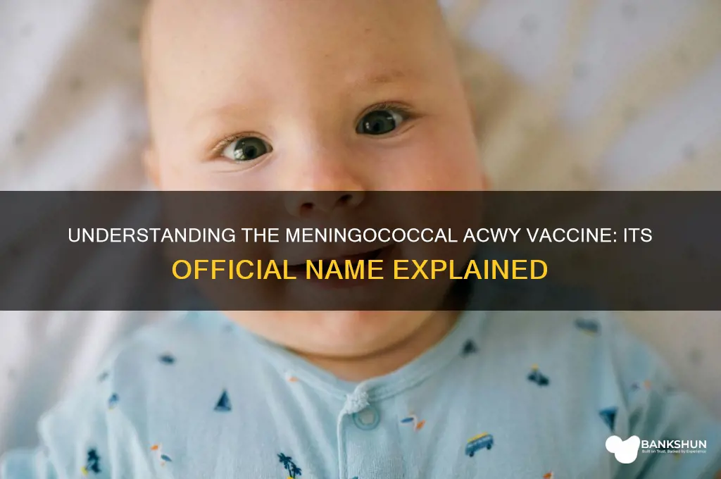what is the meningococcal acwy vaccine called