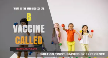 Understanding Meningococcal B Vaccine: Its Name and Importance Explained