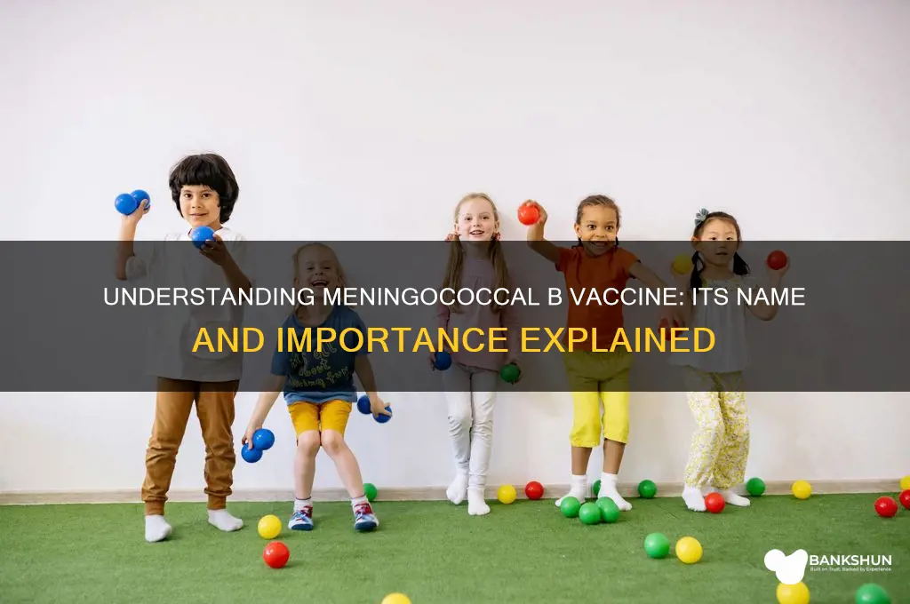 what is the meningococcal b vaccine called