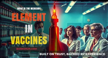 Mercury in Vaccines: Understanding Thiomersal's Role and Safety