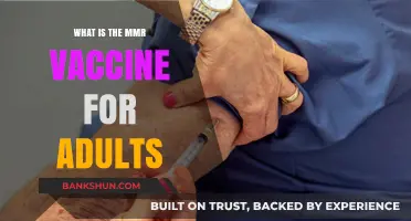 MMR Vaccine for Adults: Benefits, Risks, and Importance Explained
