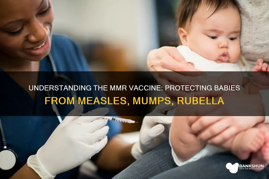 what is the mmr vaccine for babies