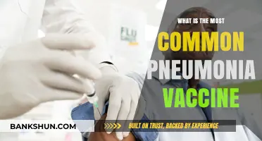 Understanding the Most Common Pneumonia Vaccine: Types and Benefits