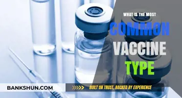 Understanding the Most Common Vaccine Type: A Comprehensive Guide