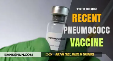 Latest Pneumococcal Vaccine: Protecting Against Pneumococcal Infections in 2023