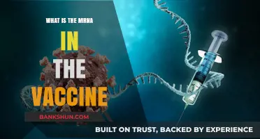 Understanding mRNA: The Science Behind COVID-19 Vaccines Explained