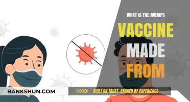 Understanding the Mumps Vaccine: Ingredients, Composition, and Development Process